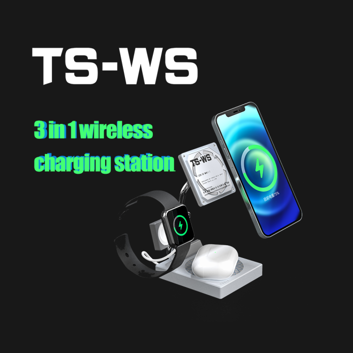 TEGIC, the Rising Star-Chargerlab