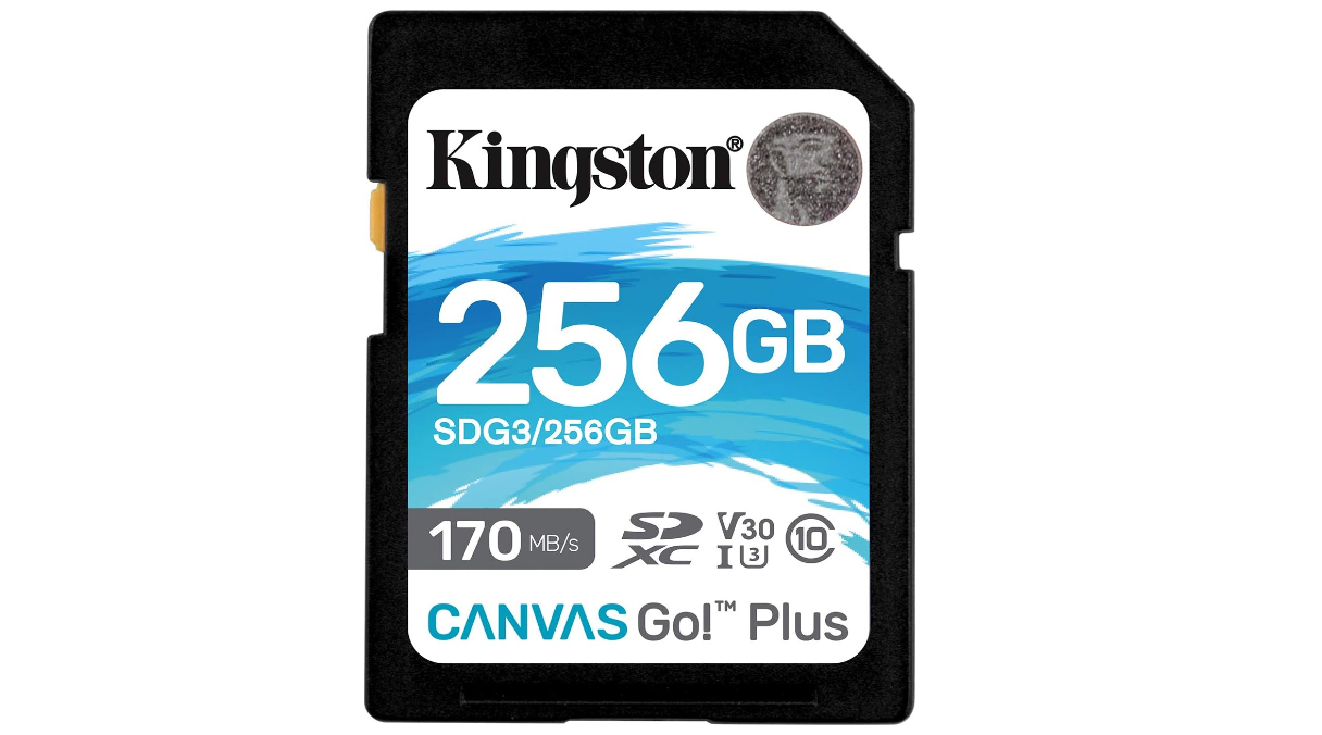 Get Ready for Gaming | Introducing Five SD Cards for Your Steam Deck-Chargerlab